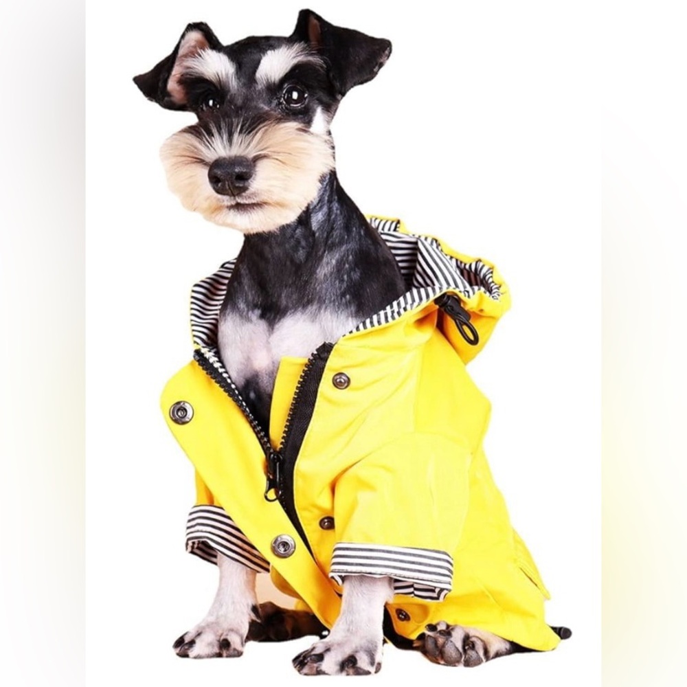 Yellow Dog Raincoat size small